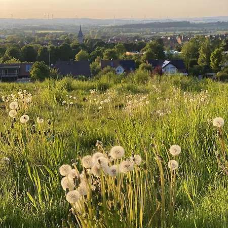 Holiday home Haus 23 - Gemuetlicher Urlaubsort Fuer Entspannte Tage Im Gruenen Und In Der Naehe Von Den Externsteinen *